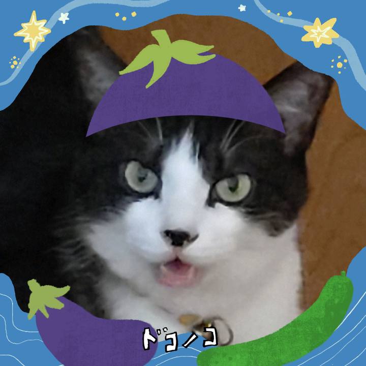 29ada9a5 c6d7 4912 a3c3 db5588f9673b 1755216217009