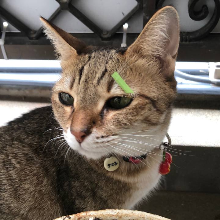 29add02f c657 4062 898a 89cad100b55c 1665017230248