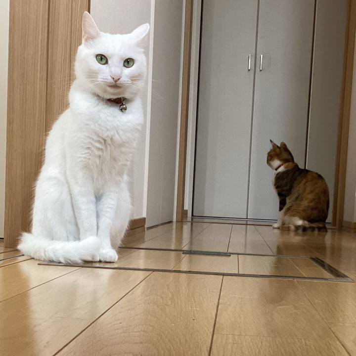 29aded52 131f 45bc b4c1 2b83f80fab29 1685831502724