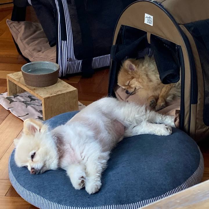 29ae175e 4e66 457a a23e 2d17c8f1a563 1680410537813