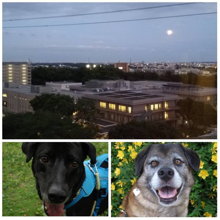 29ae3179 05fb 410f 86aa 5c4a44e3bd59 1624530297105