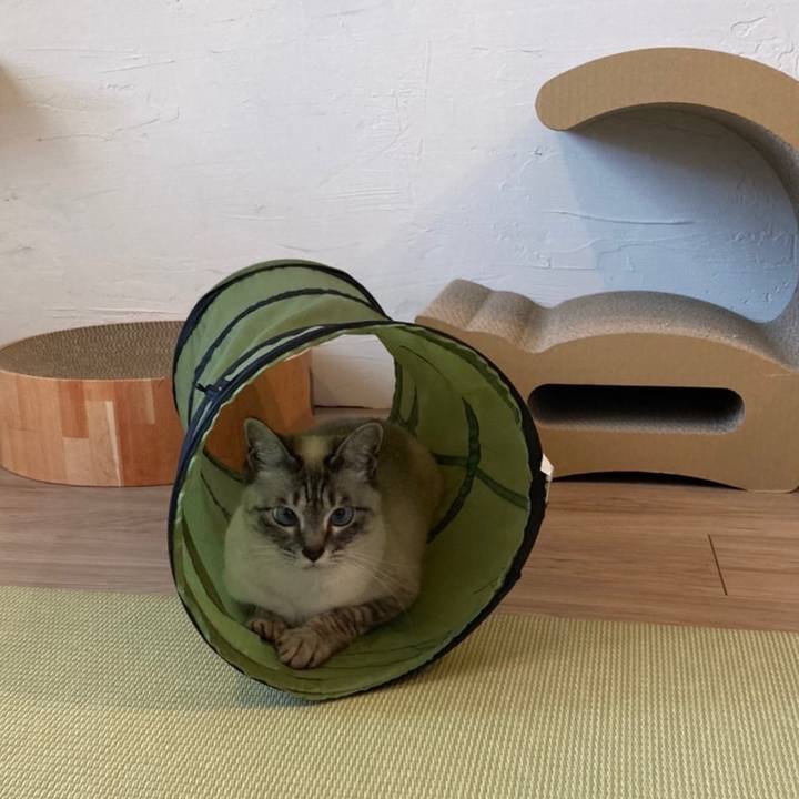 29ae5f56 a40e 44d3 8e23 987e3be88a6a 1649480927654