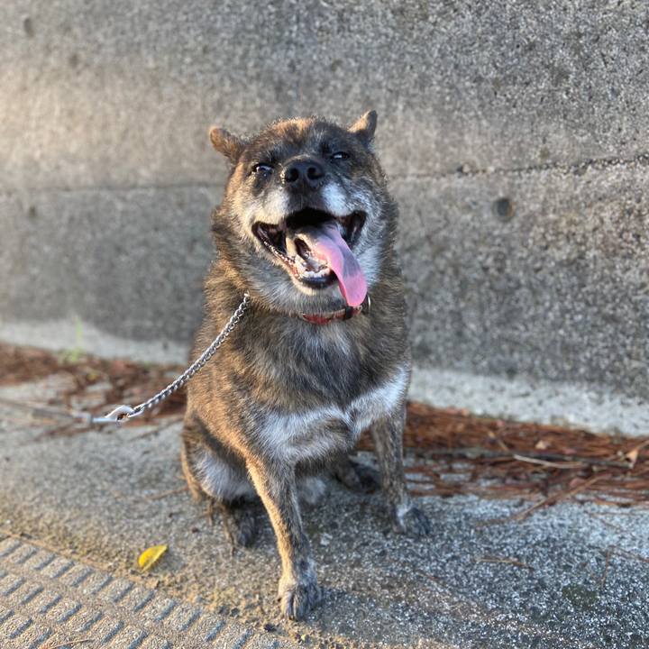 29aeb89c 8d8e 4835 824f cbb11929a3d8 1597008061796