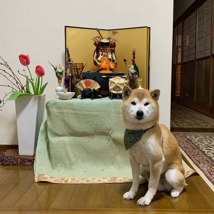 29aec681 3ae7 4336 964f bfcd9f149568 1681296335739