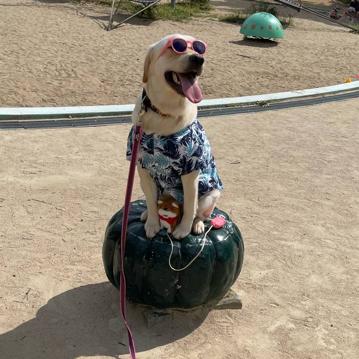 29aed613 341a 4c57 9eb7 f90ff6c0c1db 1653749684250