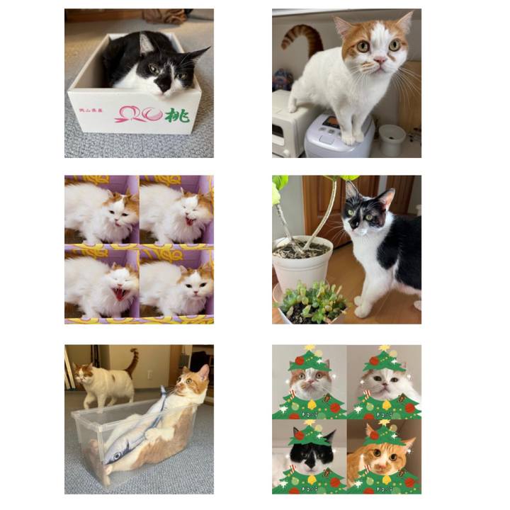 29aedcd0 bf2f 4b56 90da 53a467c01a65 1763934602799