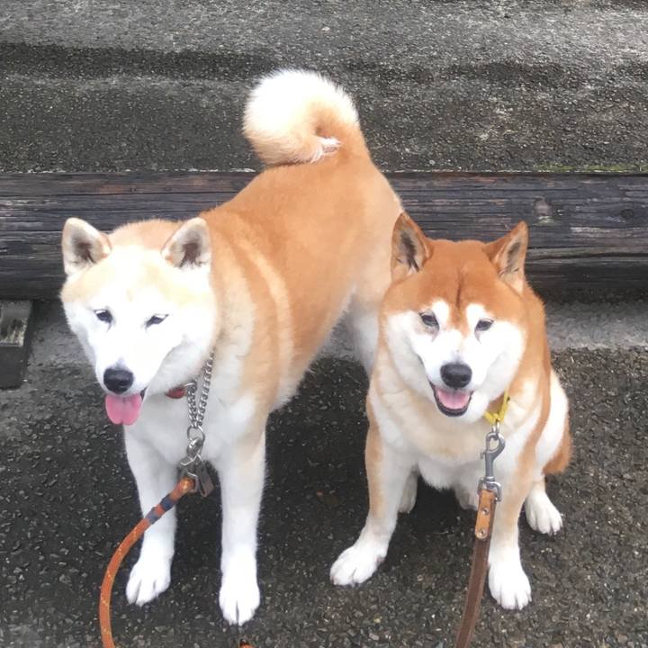 29af1faf 3624 40e7 b107 c16ab801ec71 1530225298705