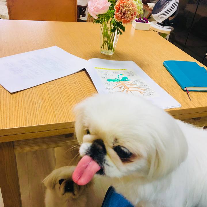 29af6c55 3b49 431e 87a4 b50f8b7d2824 1587541395750