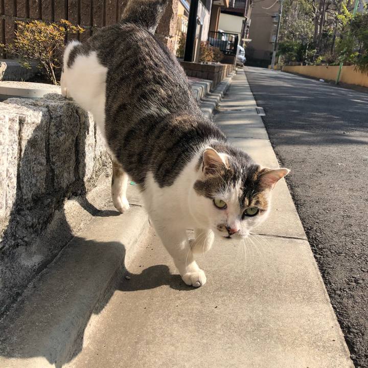 29af71fe cdfc 40d9 bc87 eb73a7d754b2 1583131489310