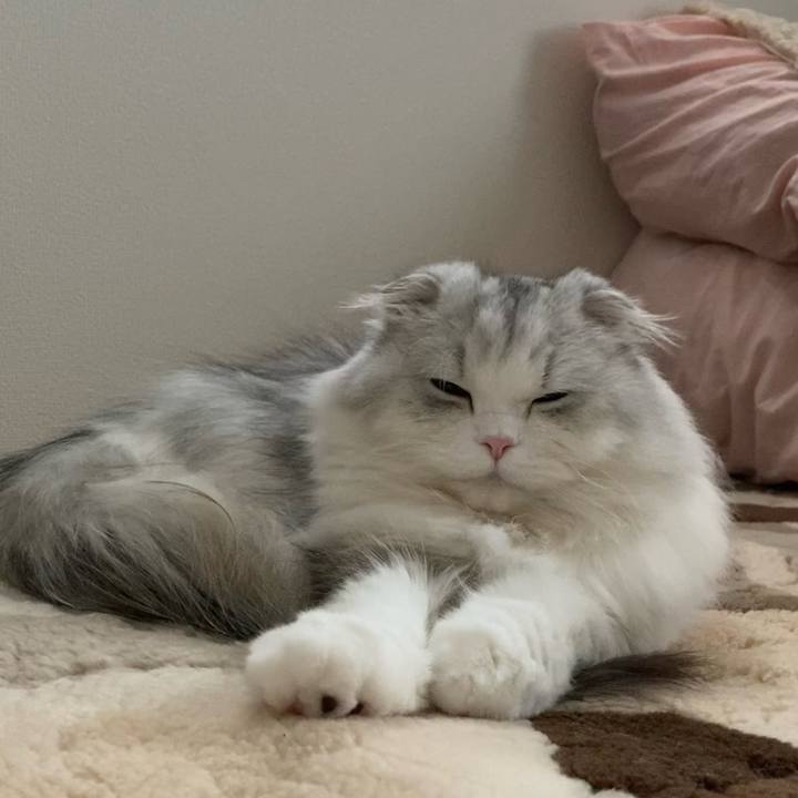 29afed3c 8d4f 487f 9f7c dbd1ef359f69 1652443485631