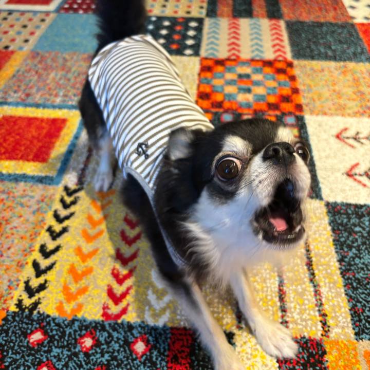 29b017df a662 4160 bc05 3b2cae425622 1726418351714