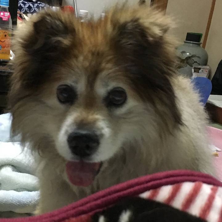 29b02375 662f 4e9f 8d13 2f3c04664731 1574507031140