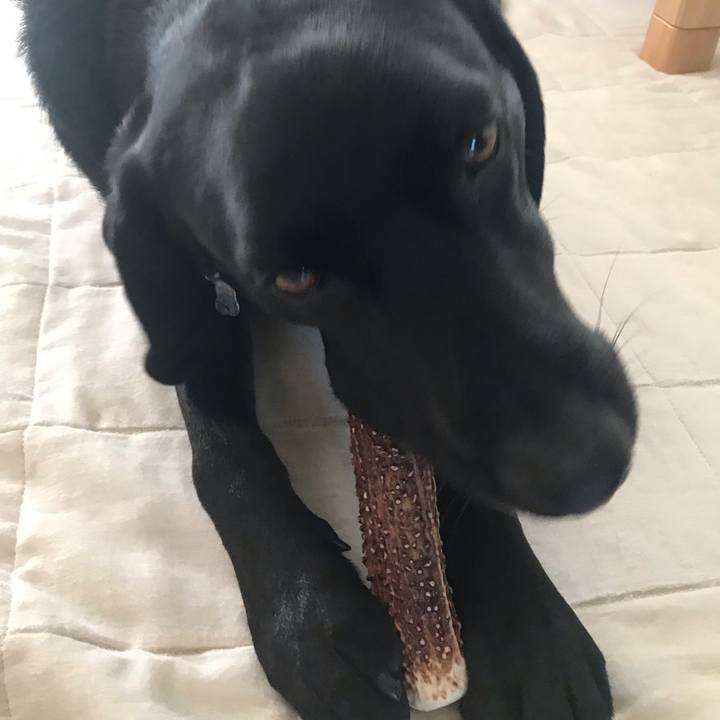 29b03601 35bb 4dff 9f4f 42c83f776a08 1556273138705