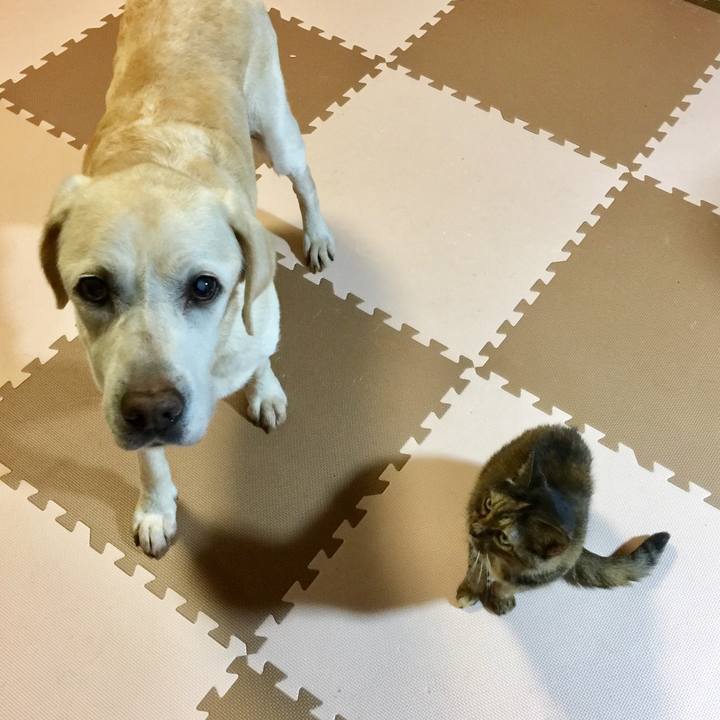 29b05e70 6761 4c5a bf90 37e23bb2af4e 1628596894877