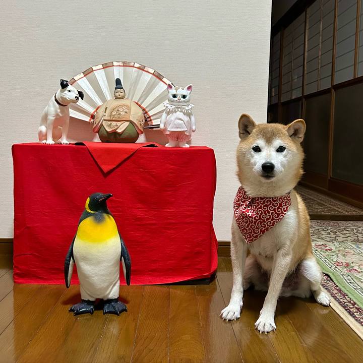 29b06d39 c942 4cca 98fb 4a92a8837fe3 1697884911189