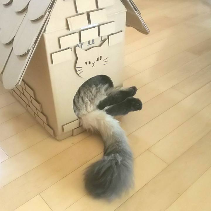 29b08184 054e 4d5e a1c8 0ad6cdf0387a 1571204692035