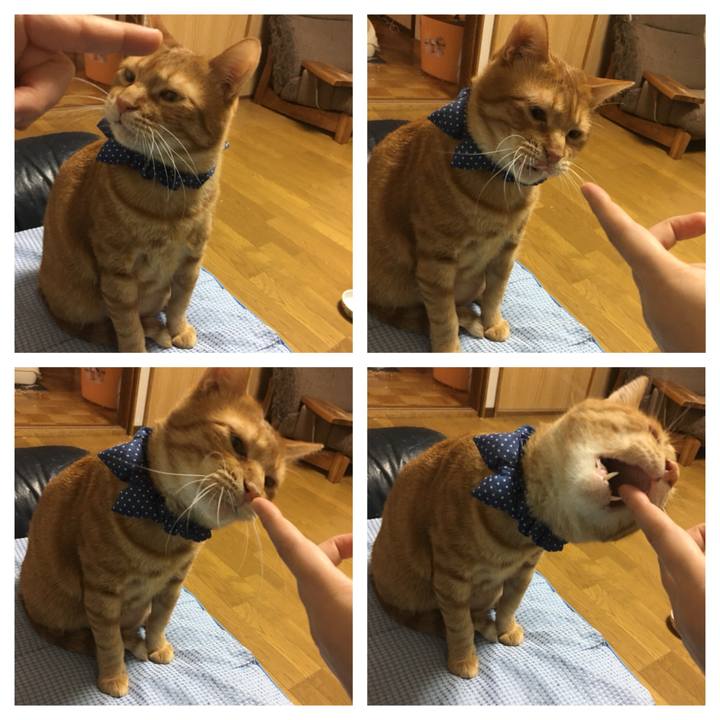 29b0b961 b5a5 4083 ad45 e77c1eecf921 1544789275559