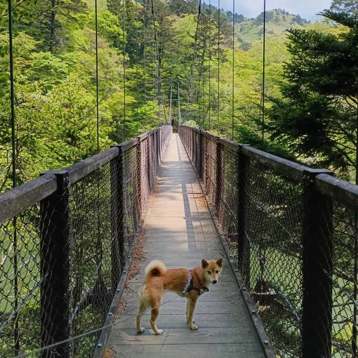 29b0d4cf 68ed 4dbf a19f c53207454bef 1746070286491