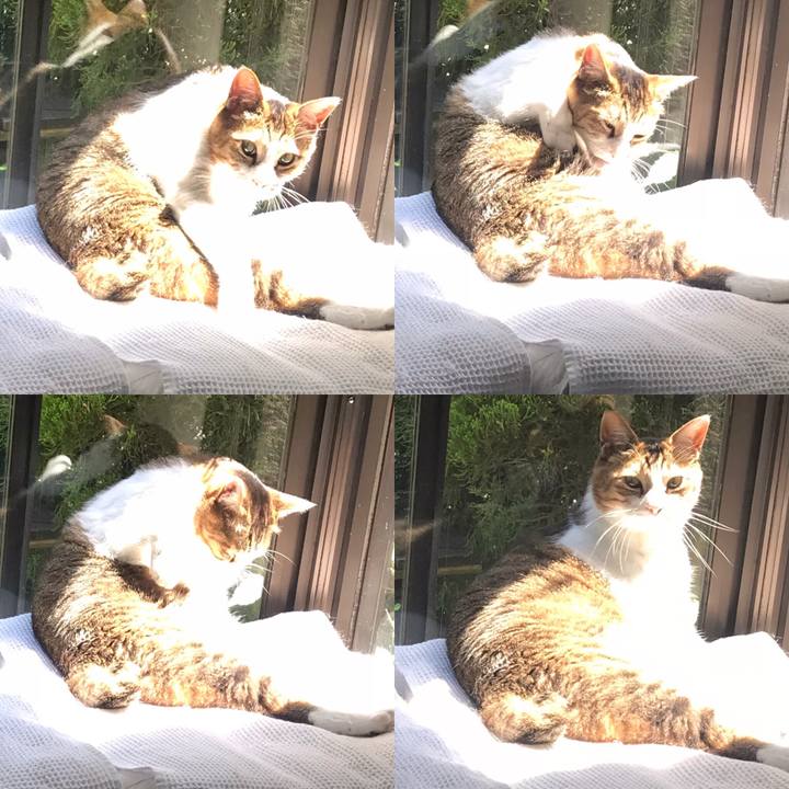 29b125c4 b098 4420 9d35 b44baf0a30bb 1559194053653