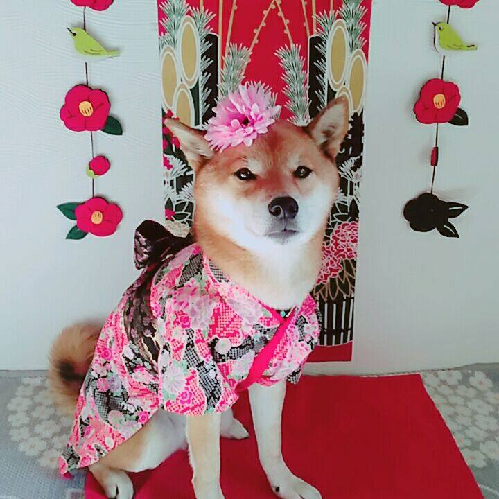 29b16720 53d7 4838 ac6b e7c198965863 1577849528987