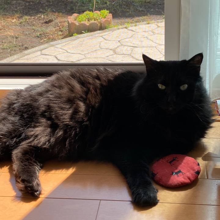 29b189ba fcfe 47e7 bf3b 5ade1a0b890d 1597553673019