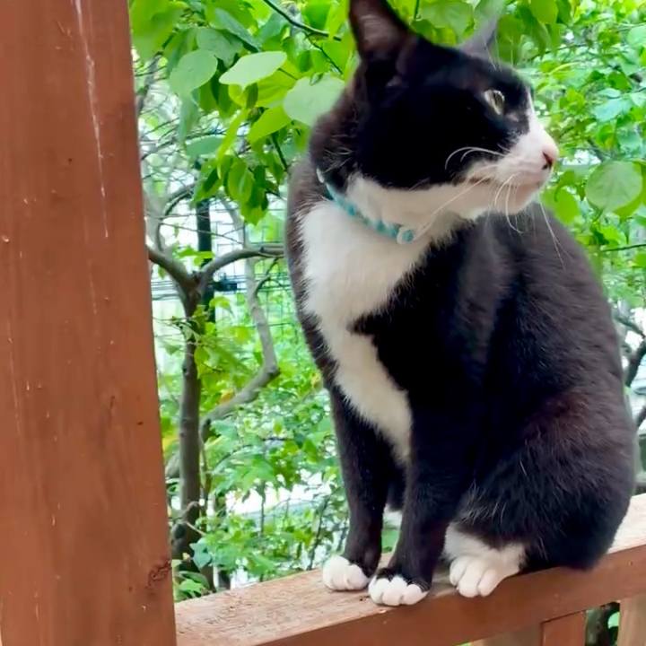 29b1975f 645c 41bd 87cf d856e3d0d38b 1747915380415