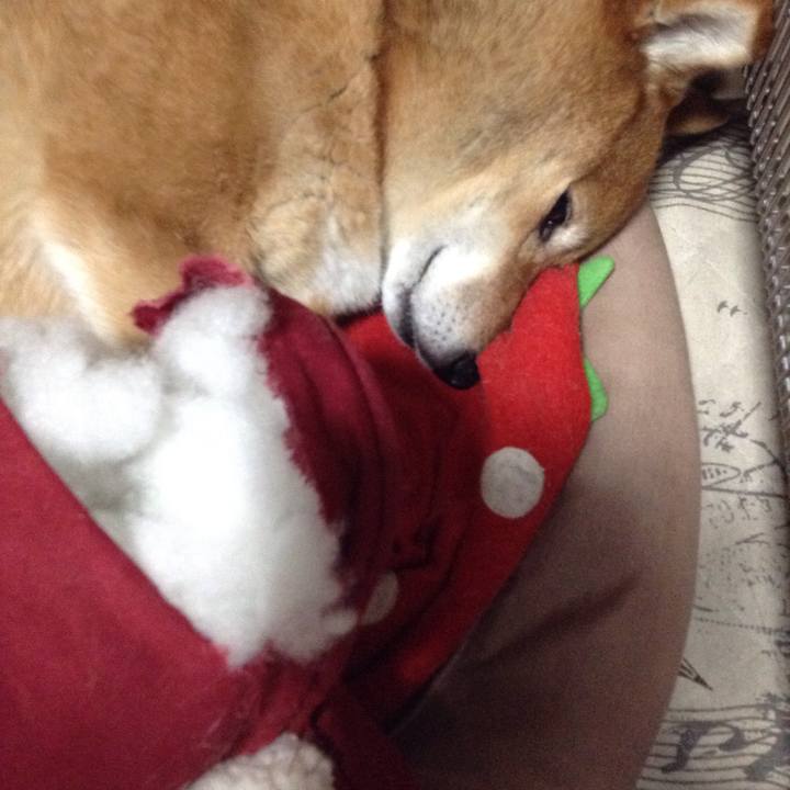 29b1b385 c507 4047 baa7 10910c368e19 1521607028422