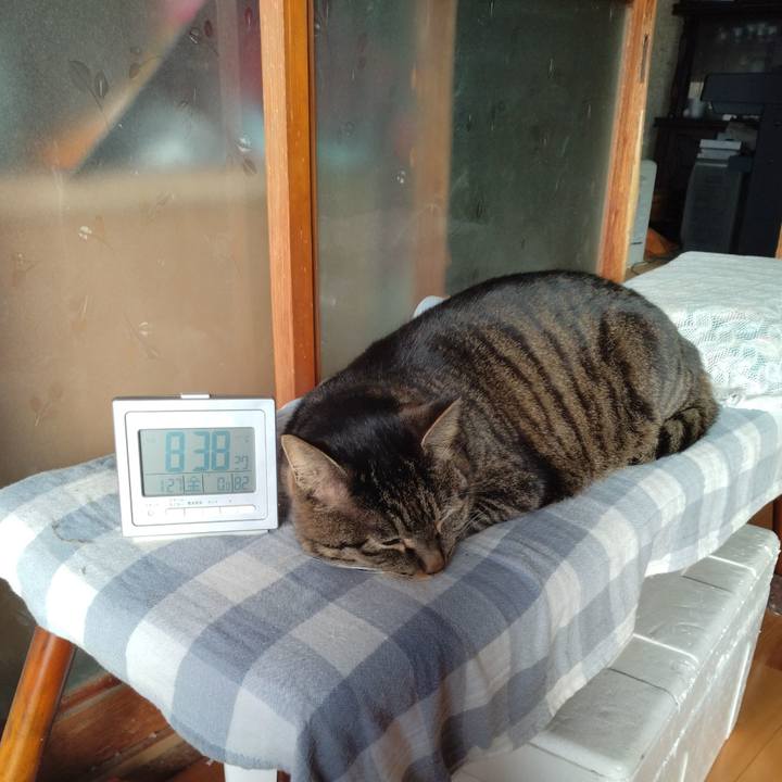 29b20544 f9a0 4cbf a424 f2de95b0c04e 1674776651266