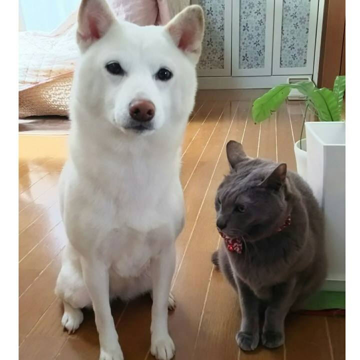 29b22e6f a905 426e 864a 632ac5719329 1521935563697