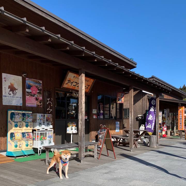 29b23e82 1189 4543 834e 4f62c01b4738 1582793498278