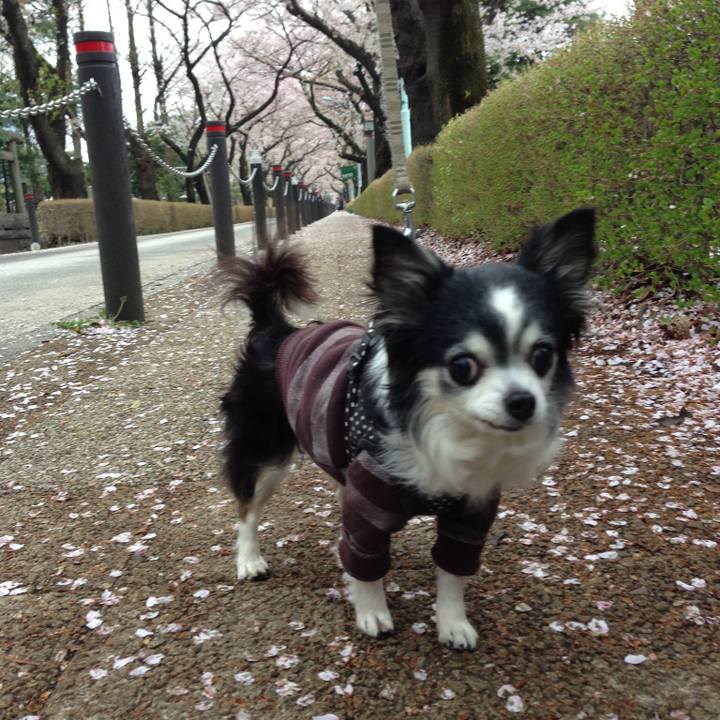 29b24052 9284 45bb 9b8f cdd0f9f66ee1 1522592606287