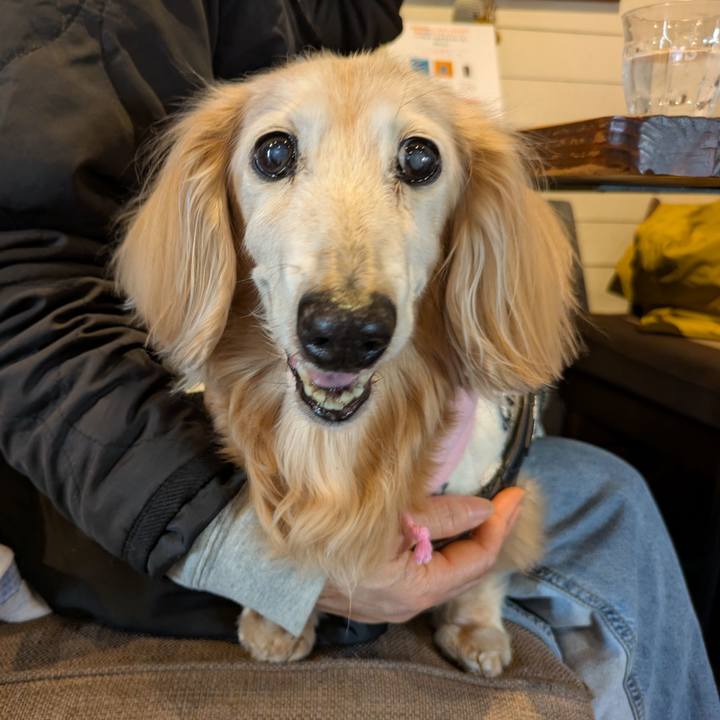 29b2ac29 a904 4ccc bc5a 0513369d42d5 1772979482670