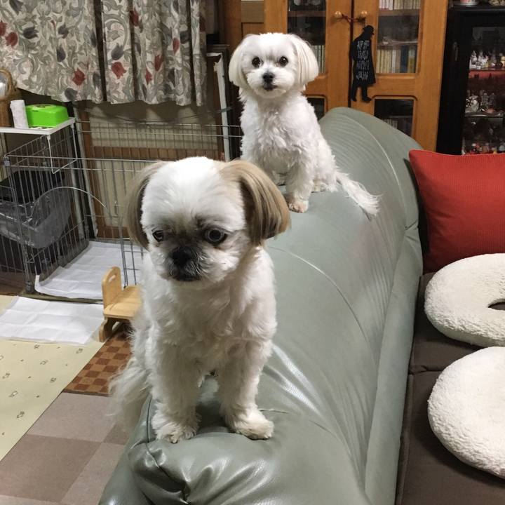 29b332d4 bcff 46d0 bd5e 4d8978625ca1 1545262857127