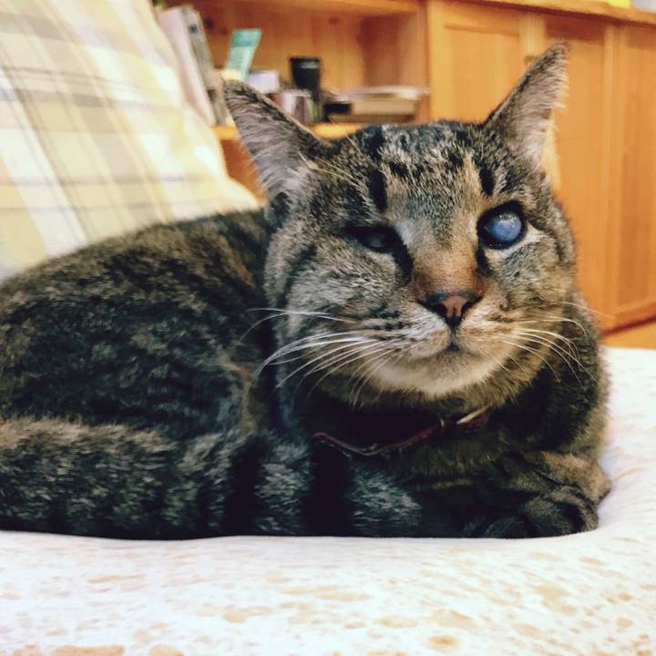 29b343c9 442e 4d2b 8d9d fd86734bcccf 1519995399363