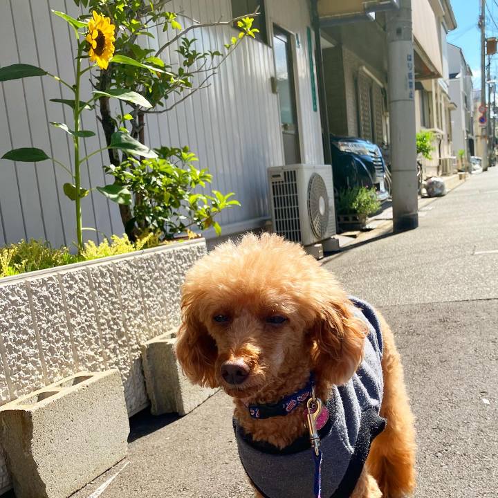 29b34968 9cc9 49f1 bcdf 91a90ed02600 1654657862673