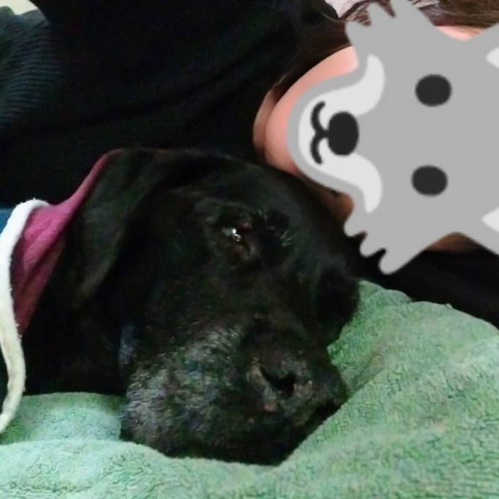 29b3877b c285 4e5d a4b9 34158013f59e 1728626988341