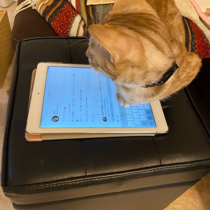 29b38ab7 5cf5 4ebd b305 dc141c864cf3 1605958518092