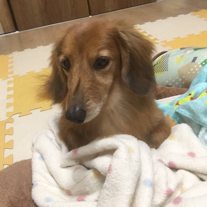 29b3c100 6e64 49e1 94d1 5b8f461763cb 1589287815957