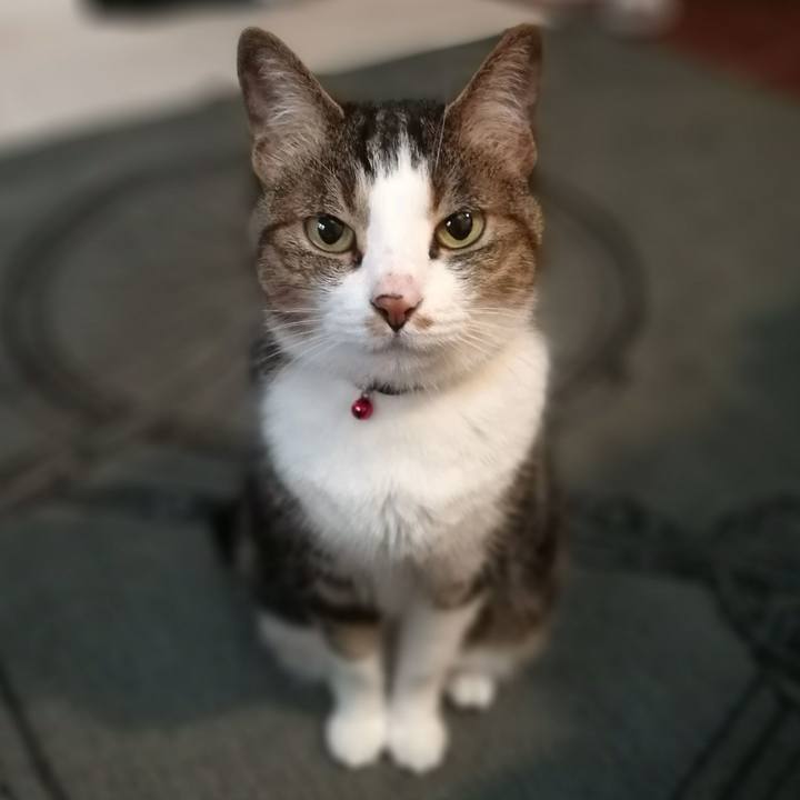 29b42c9f 37a1 4e54 adee 4460b15a8bce 1562106957954