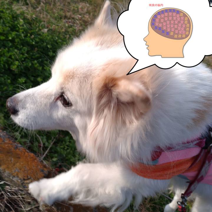 29b435a9 49c0 4c9b 8a7d ed538e4b3c08 1673408764198