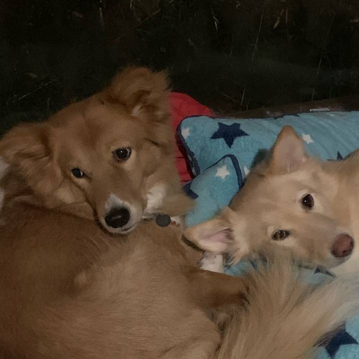 29b44808 fcf0 4589 8f92 bca3c70e68d4 1576891924404