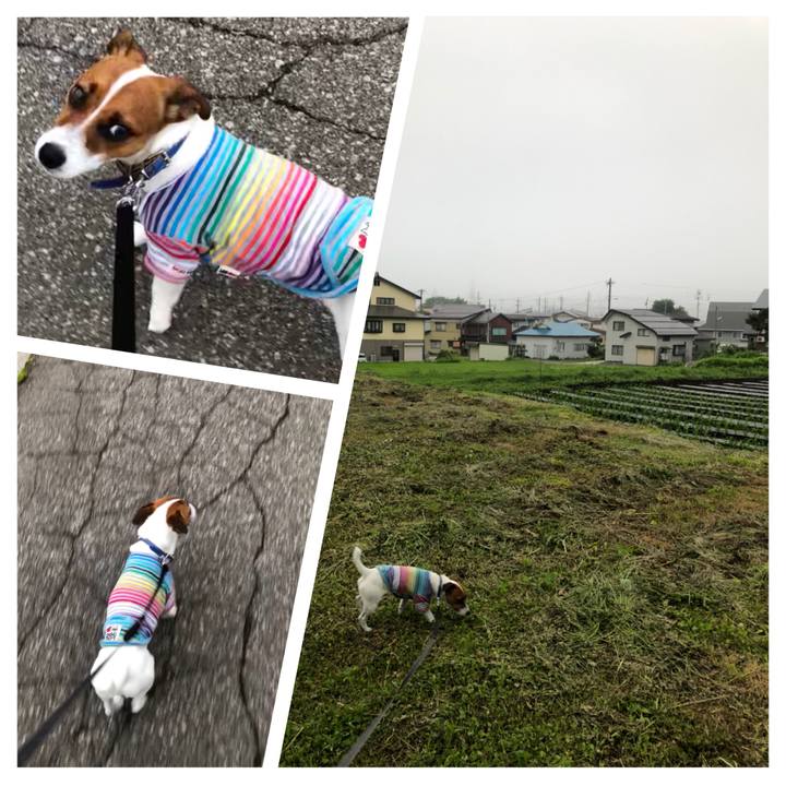 29b50bd8 77d6 48bb acd2 18424fe0fff4 1529496571073