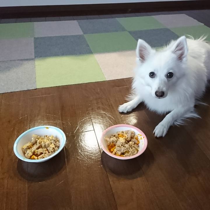 29b5593b 8c77 46a9 a1d5 75560a11a2ca 1587458022965