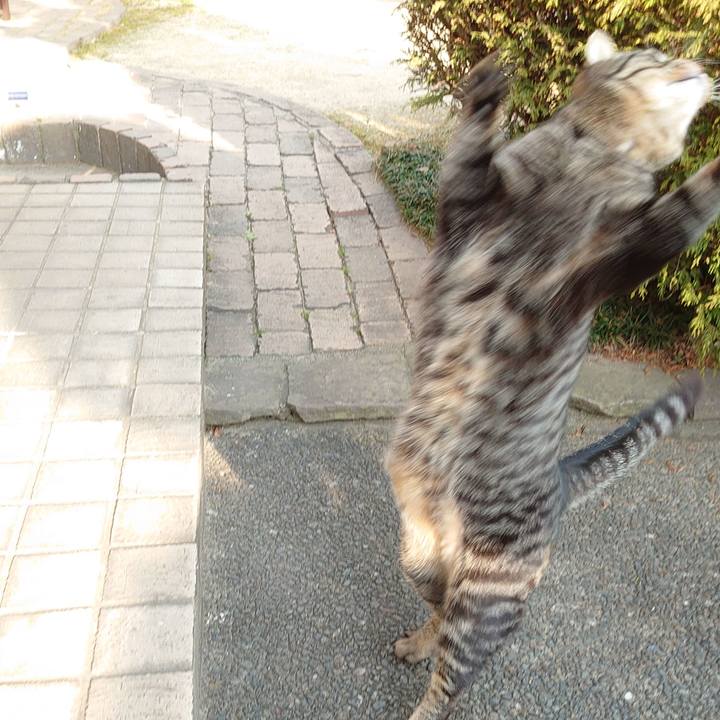 29b568fa ae32 4e87 a98a a4b8e9a5629b 1646984887887