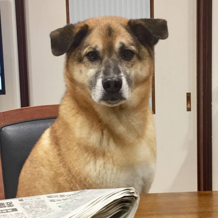 29b57bfb 8b39 408e 861f f82bb7ad8583 1520334932129