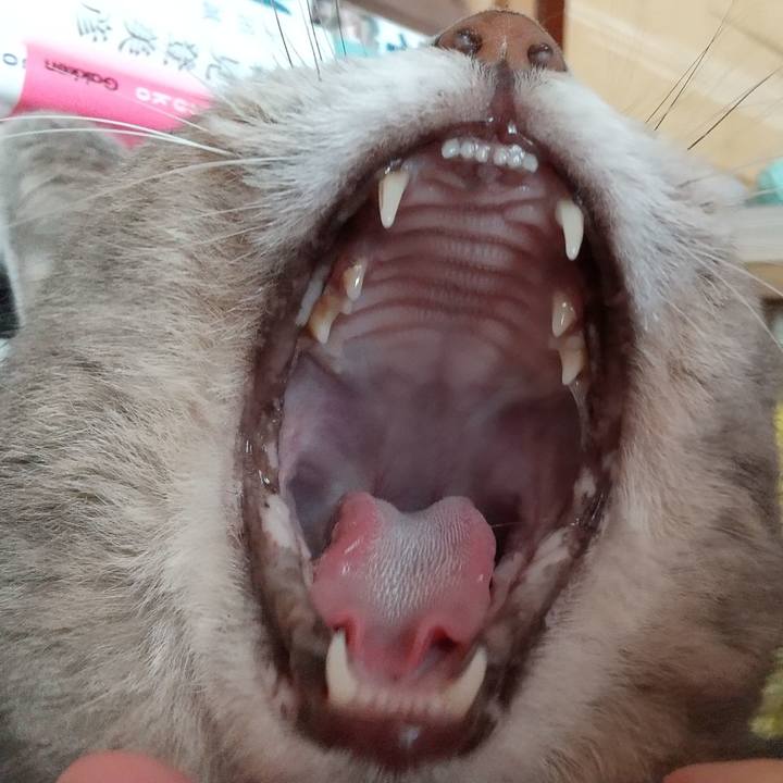 29b5b0c6 8dce 435d 9edf 04f5d412bf66 1631059918075