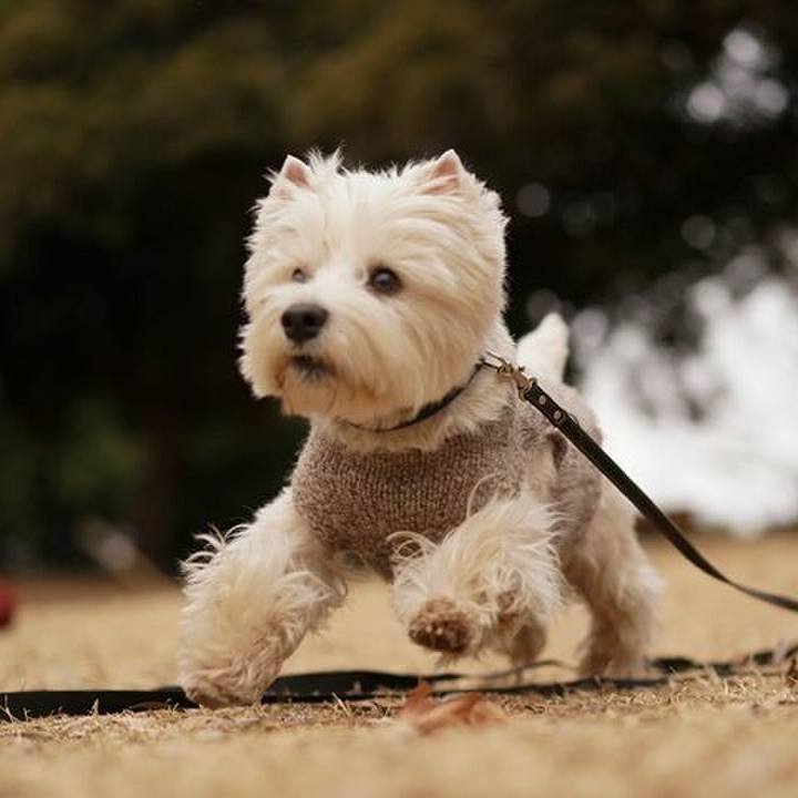 29b5b38b 8074 41da b253 e881b6adbf74 1519086909542