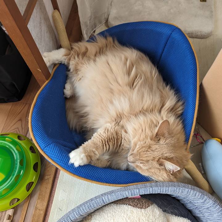 29b5b70b bcc7 4c07 bef3 78904c1d7ba5 1716779907405