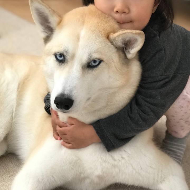 29b5c76a 0b27 4d94 bb35 c76c3fcff50d 1544745930554