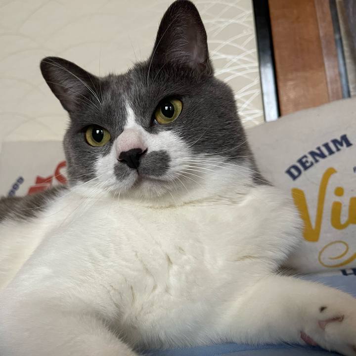 29b5cbd0 2cbf 42df b43a 44340b340630 1662623031939